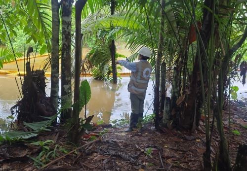 Especialistas del OEFA supervisan el impacto ambiental por un nuevo caso de derrame de petróleo en el tramos del Oleoducto Norperuano ubicado en la región Amazonas. ANDINA/Difusión