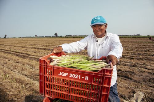 ANDINA/Difusión