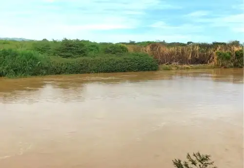 También están en alerta roja los ríos Huallaga, en Loreto, y Ucayali, en la región del mismo nombre.ANDINA/Difusión