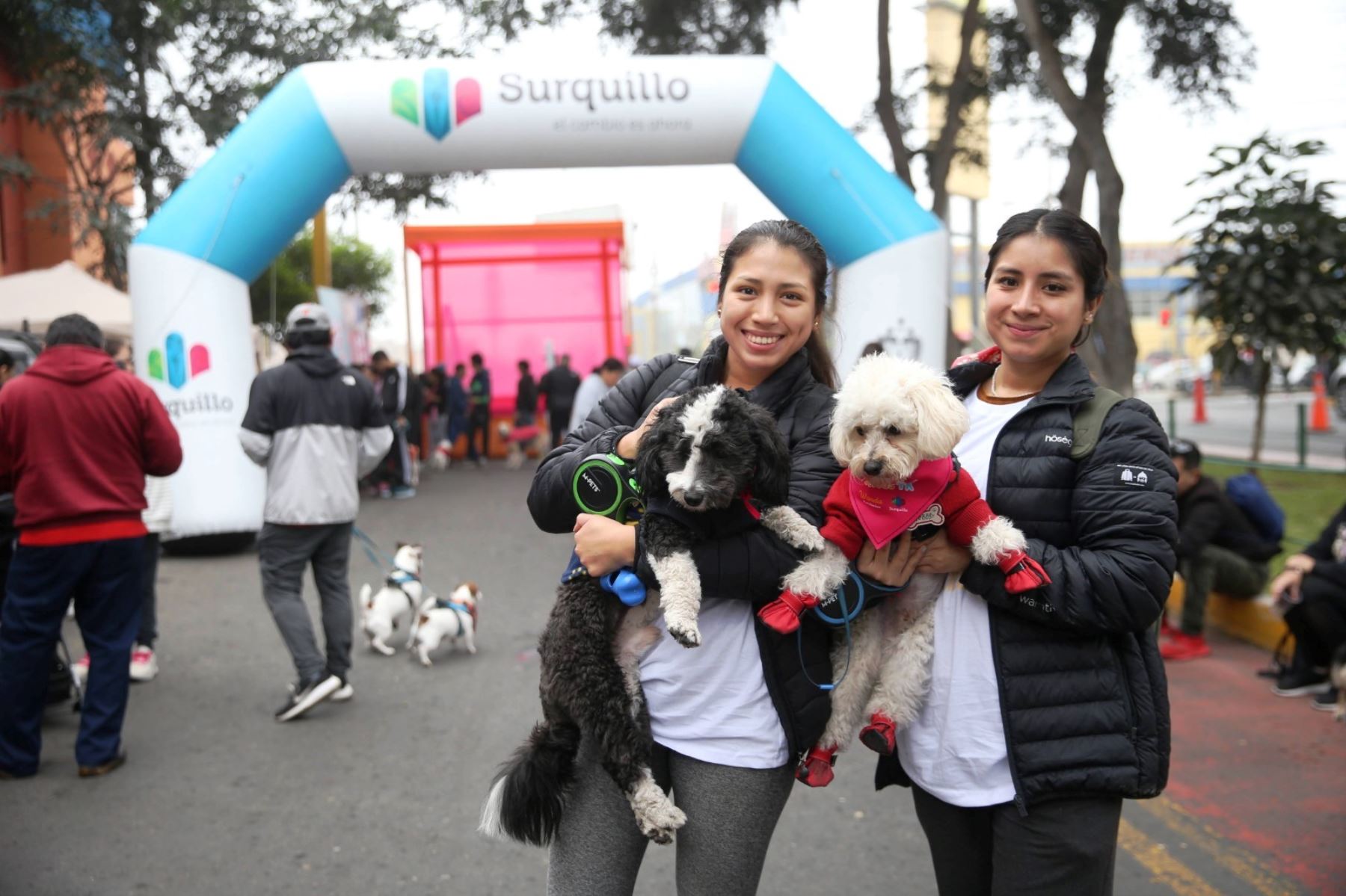 Surquillo: este domingo 16 participa con tu mascota en la carrera Pet Run 5k, perros. Foto: ANDINA/Difusión.