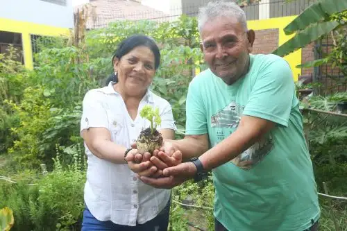 Jorge de 82 y Bertha de 65 años, consolidaron una bonita amistad que nació en los talleres que ofrece  la Municipalidad de San Martín de Porres. Foto: ANDINA/Difusión