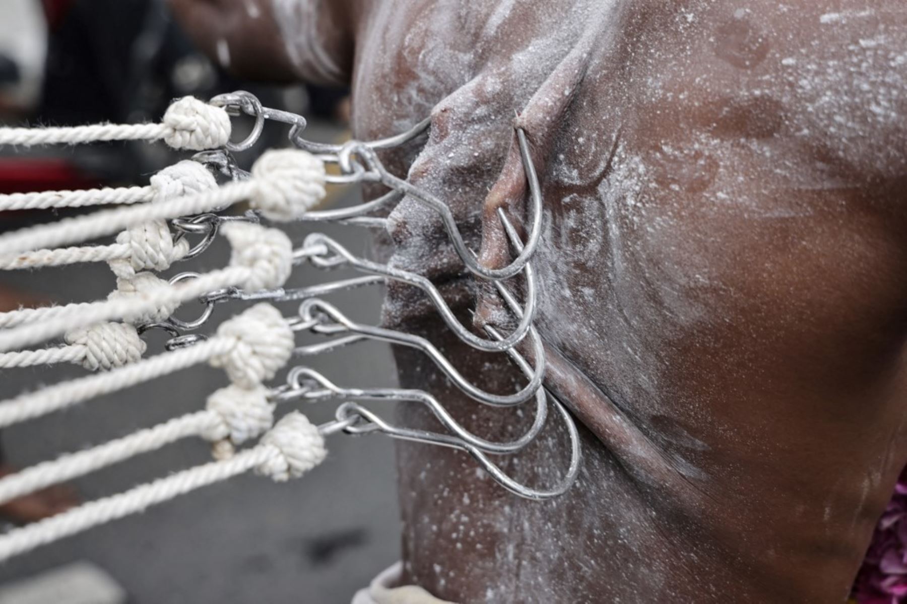 Devotos hindúes indonesios de ascendencia india celebran Thaipusam, un festival dedicado a Lord Murugan, el dios de la guerra y la sabiduría adorado por la comunidad tamil originaria del sur de la India y Sri Lanka, en Medan, Sumatra del Norte. (Foto de YT Hariono / AFP)