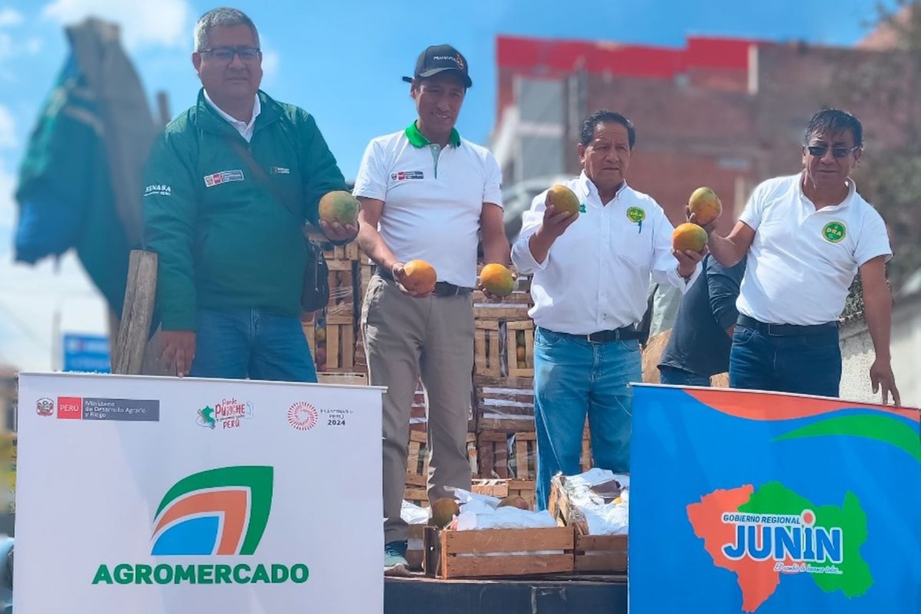 Midagri: productores comercializan nuevo lote de 30 toneladas de mango en Huancayo. Foto: ANDINA/Difusión