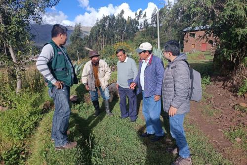 Midagri: Seguro Agrícola está activo para proteger cultivos de pequeños productores. Foto: ANDINA/Difusión