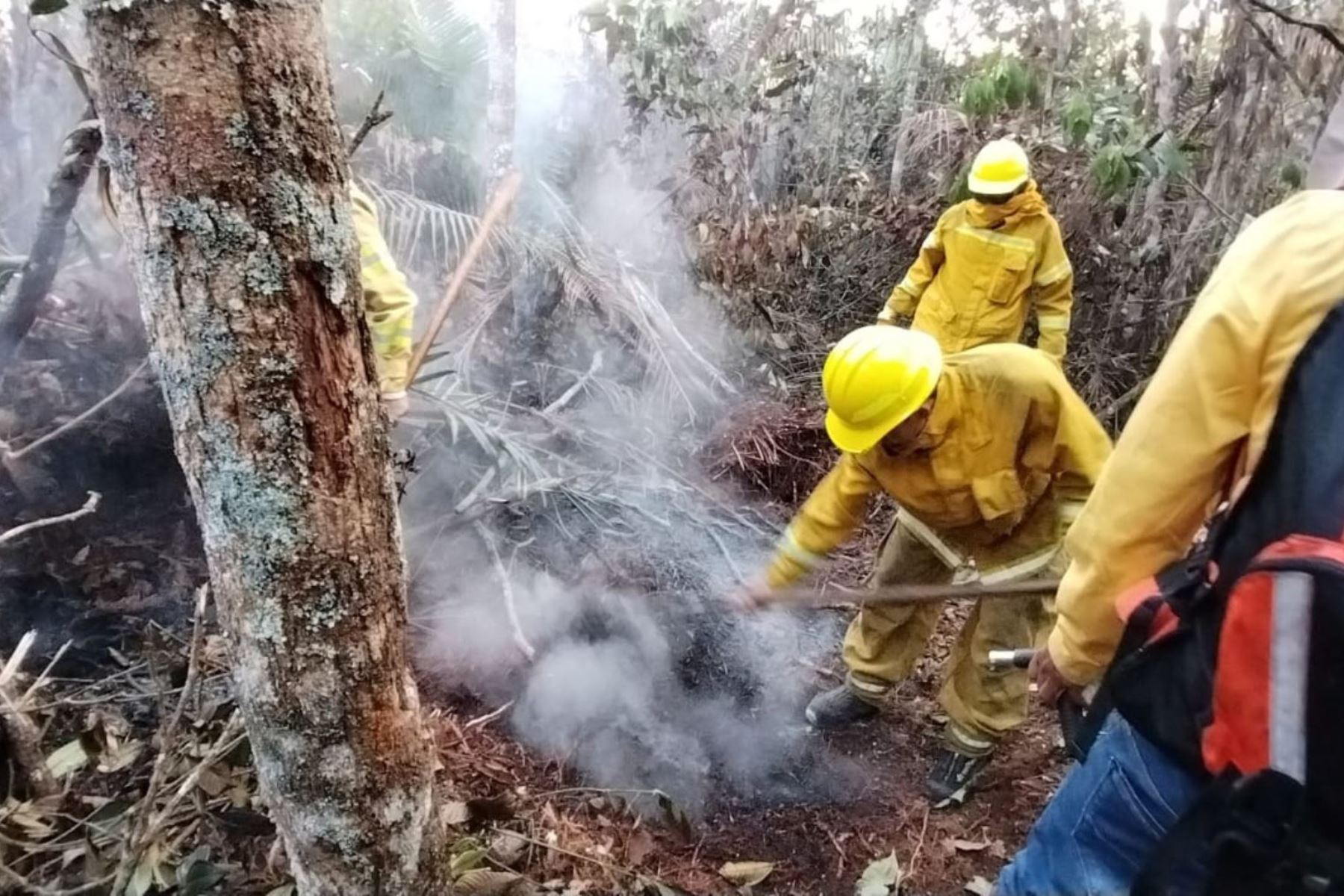 Guardaparques del Sernanp entrenados para labores propias de bomberos. Foto: ANDINA/Difusión