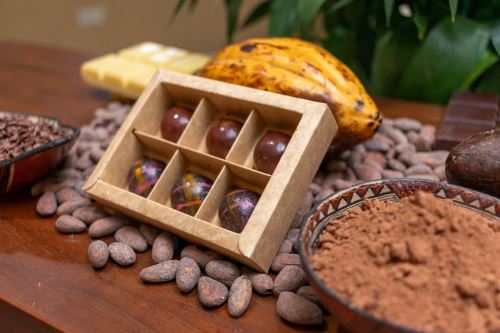 El Midagri impulsó el valor comercial del cacao peruano en la feria "Chocoa Amsterdam 2025" que se desarrolló en Países Bajos, Europa.ANDINA/Difusión