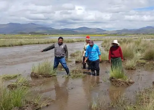 Senamhi prevé que la región Puno soportará lluvias de moderada a fuerte intensidad hasta fines de febrero y advierte de posibles desborde de ríos. ANDINA/Difusión