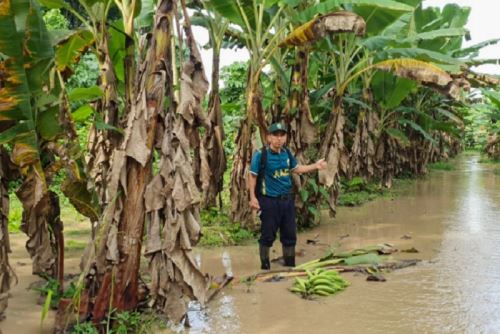 COER Amazonas reportó diversas emergencias ocasionadas en la víspera por las intensas lluvias, como deslizamientos, inundaciones, asentamiento de plataforma de las vías y otros.