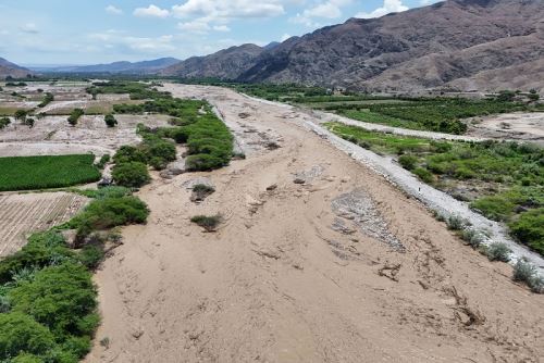 Un aproximado de 500 metros de enrocado fueron destruidos y la fuerza del agua arrastró decenas de árboles de pecanos y mangos.