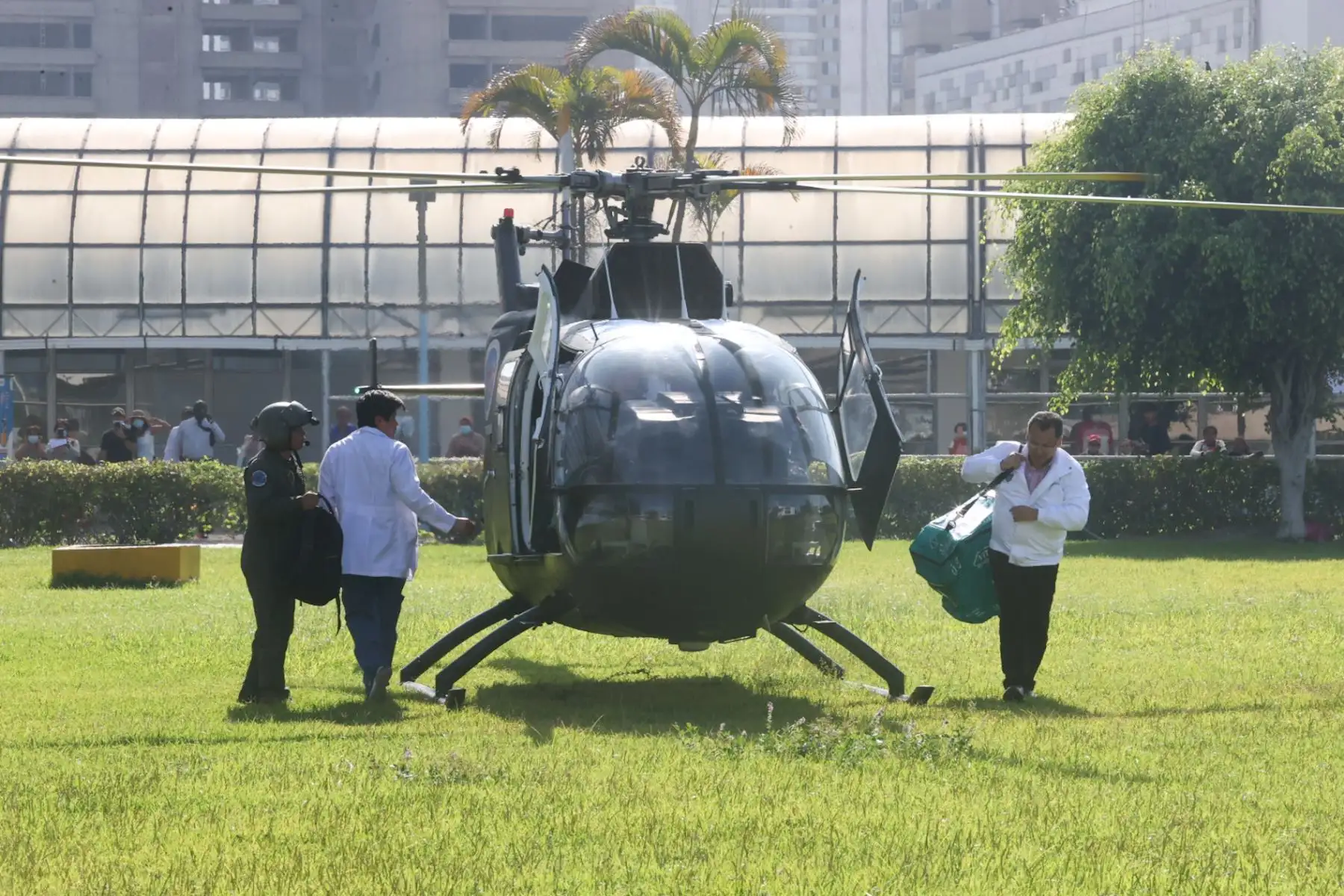 Llegada de órganos donados por un joven piurano que falleció a causa de una lesión cerebral. Dichos órganos fueron trasladados por un helicóptero de la Fuerza Aérea hasta las instalaciones del hospital Edgardo Rebagliatti.

Foto: ANDINA/Juan Carlos Guzmán Negrini