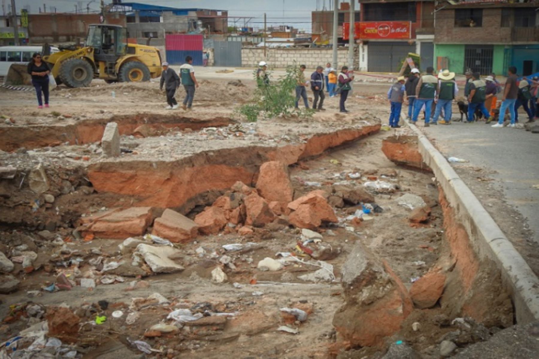 Región Arequipa ya suma 24 distritos declarados en emergencia por lluvias intensas. ANDINA/Difusión