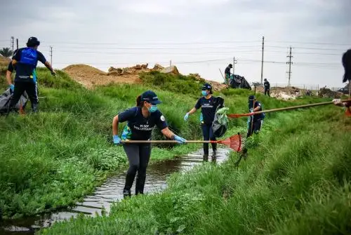 Pantanos de Villa, en Chorrillos, es hogar de más de 210 especies de aves y un refugio natural fundamental para la biodiversidad de Lima.  Foto: Difusión