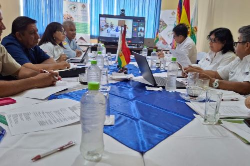 Perú concreta acuerdos para la exportación de arándanos a Bolivia. Foto: ANDINA/Difusión