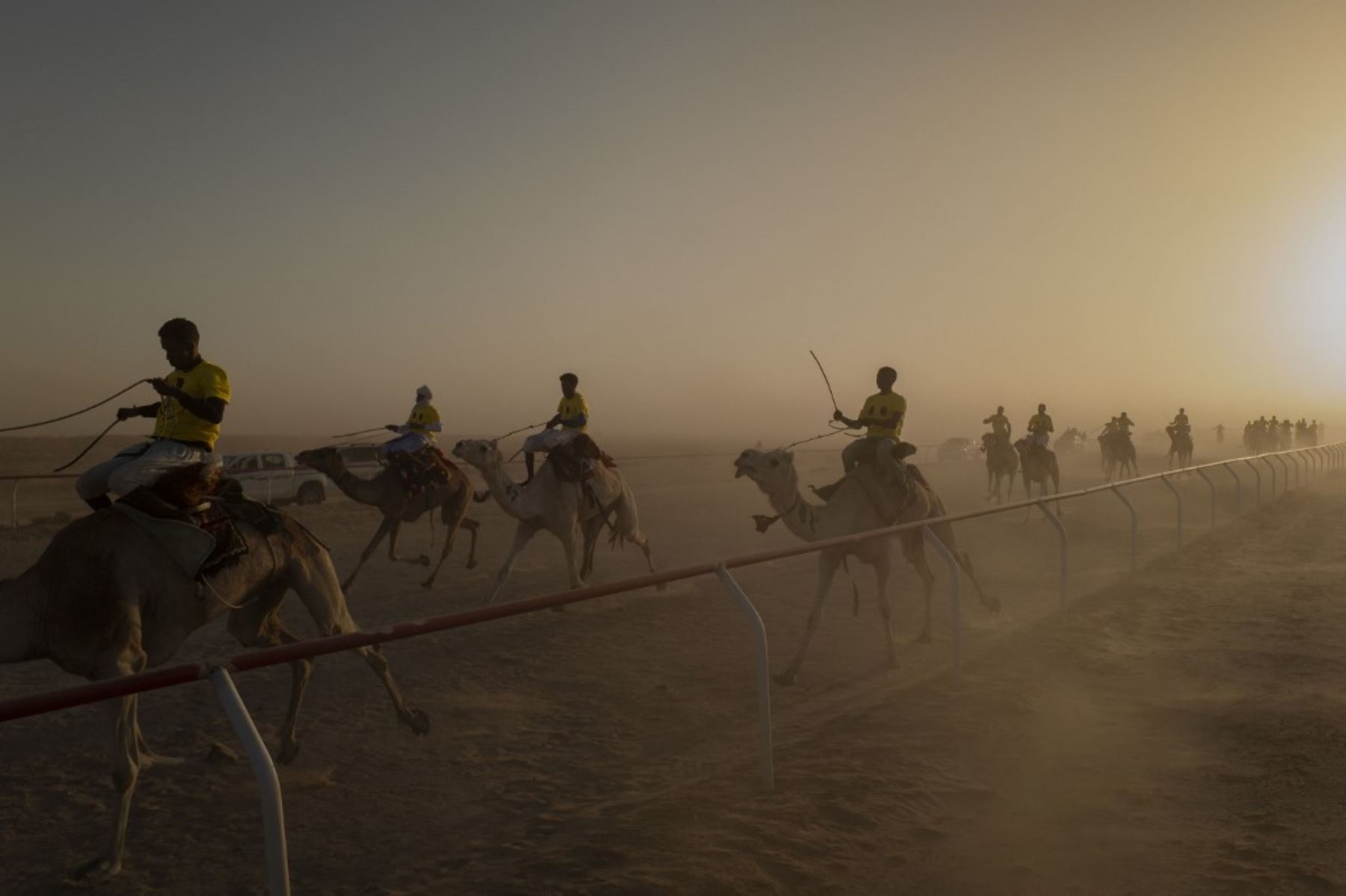 Los participantes de una carrera montan sus camellos durante una competencia organizada en Nouakchott el 16 de febrero de 2025. (Foto de MICHELE CATTANI / AFP)