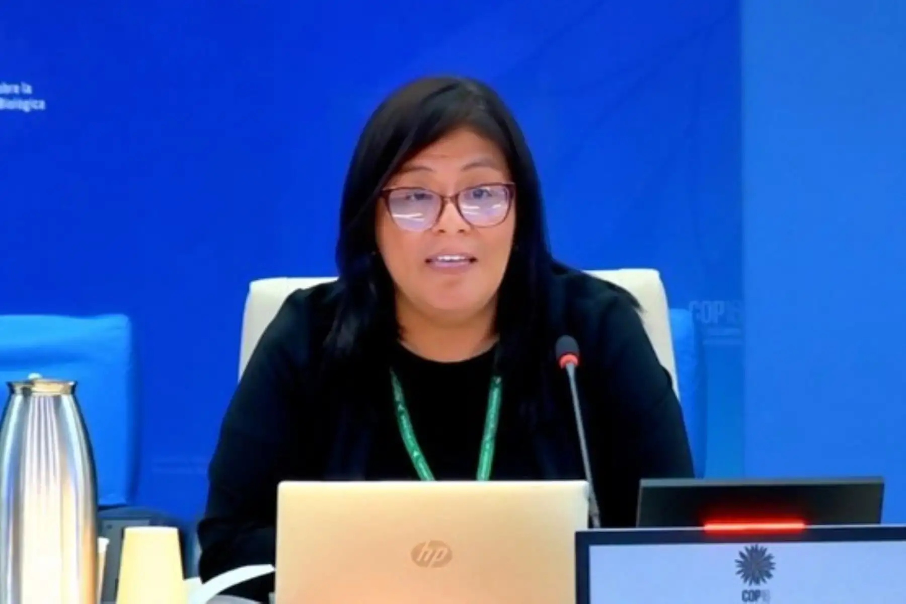 Proceso de modenización de sector Ambiente comprende fortalecer combate a minería ilegal