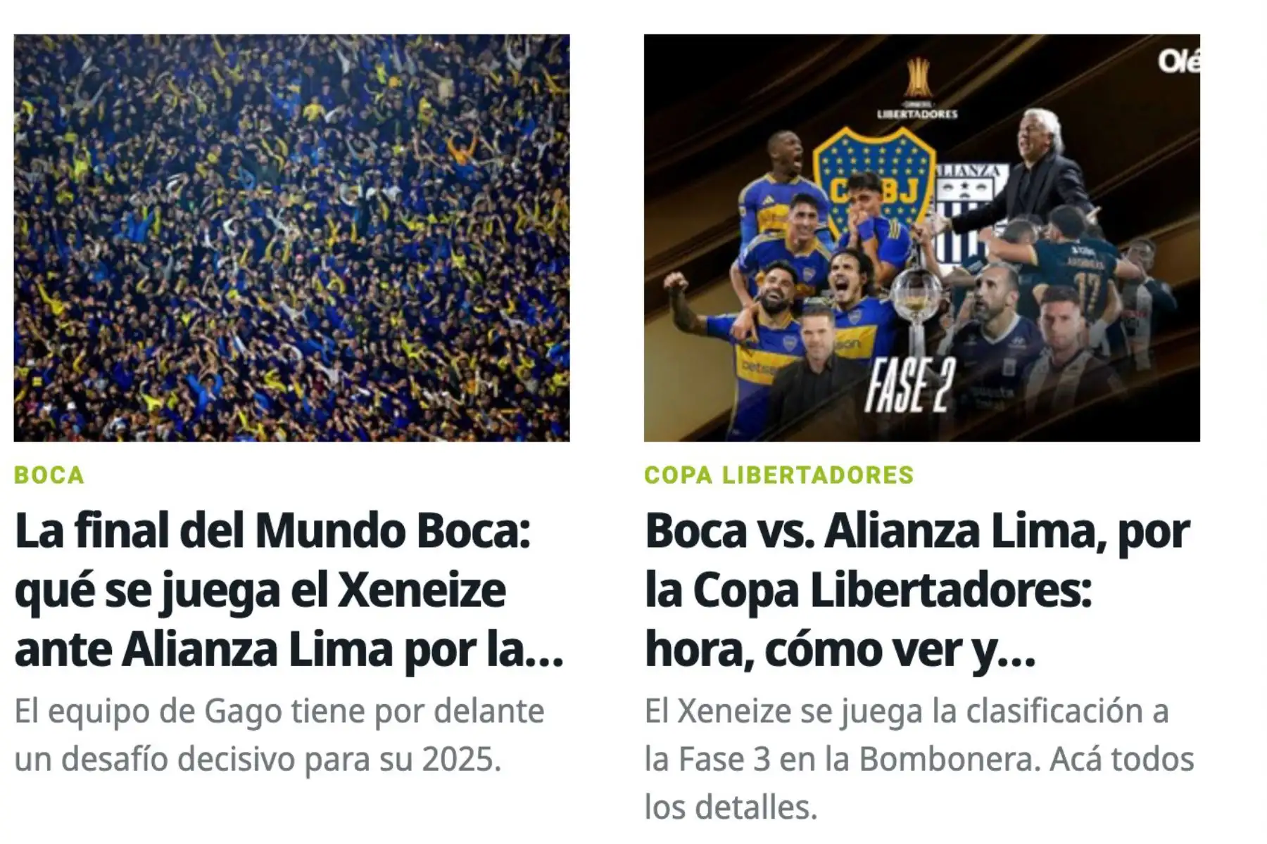 El estadio de La Bombonera, será el escenario de un partido determinante para el futuro de Boca en el torneo. Foto: Captura TV