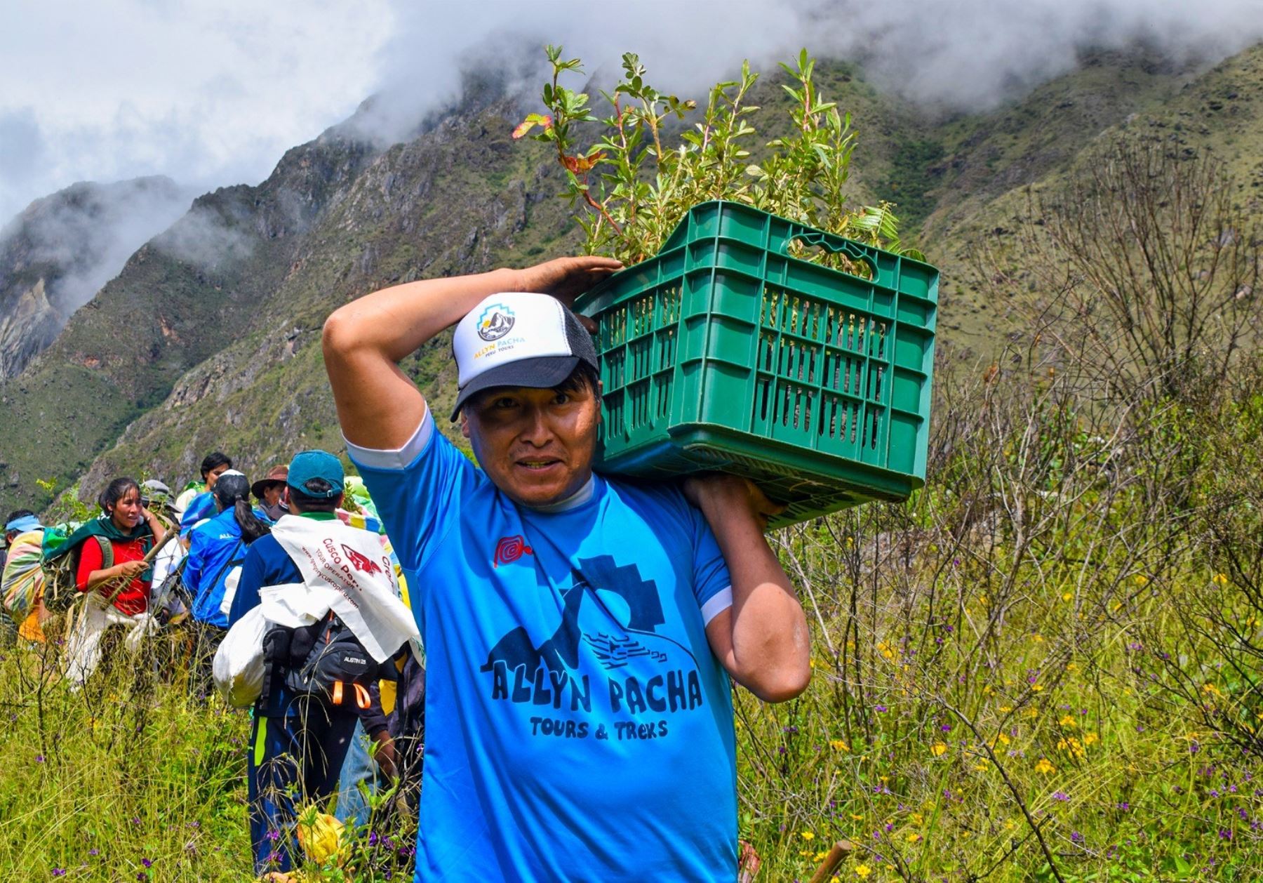 Con siembra de especies nativas reforestan zona de amortiguamiento del parque arqueológico Machu Picchu afectada por incendios forestales. ANDINA/Difusión