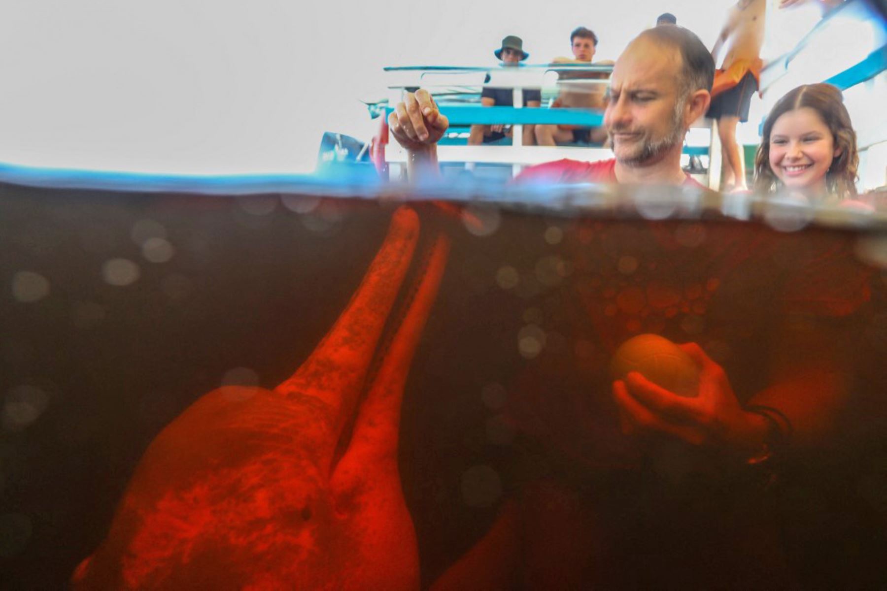 El fisioterapeuta Igor Simoes Andrade interactúa con un delfín rojo en el río Negro en Iranduba, estado de Amazonas, Brasil. El fisioterapeuta Igor Simoes Andrade lanzó el programa 