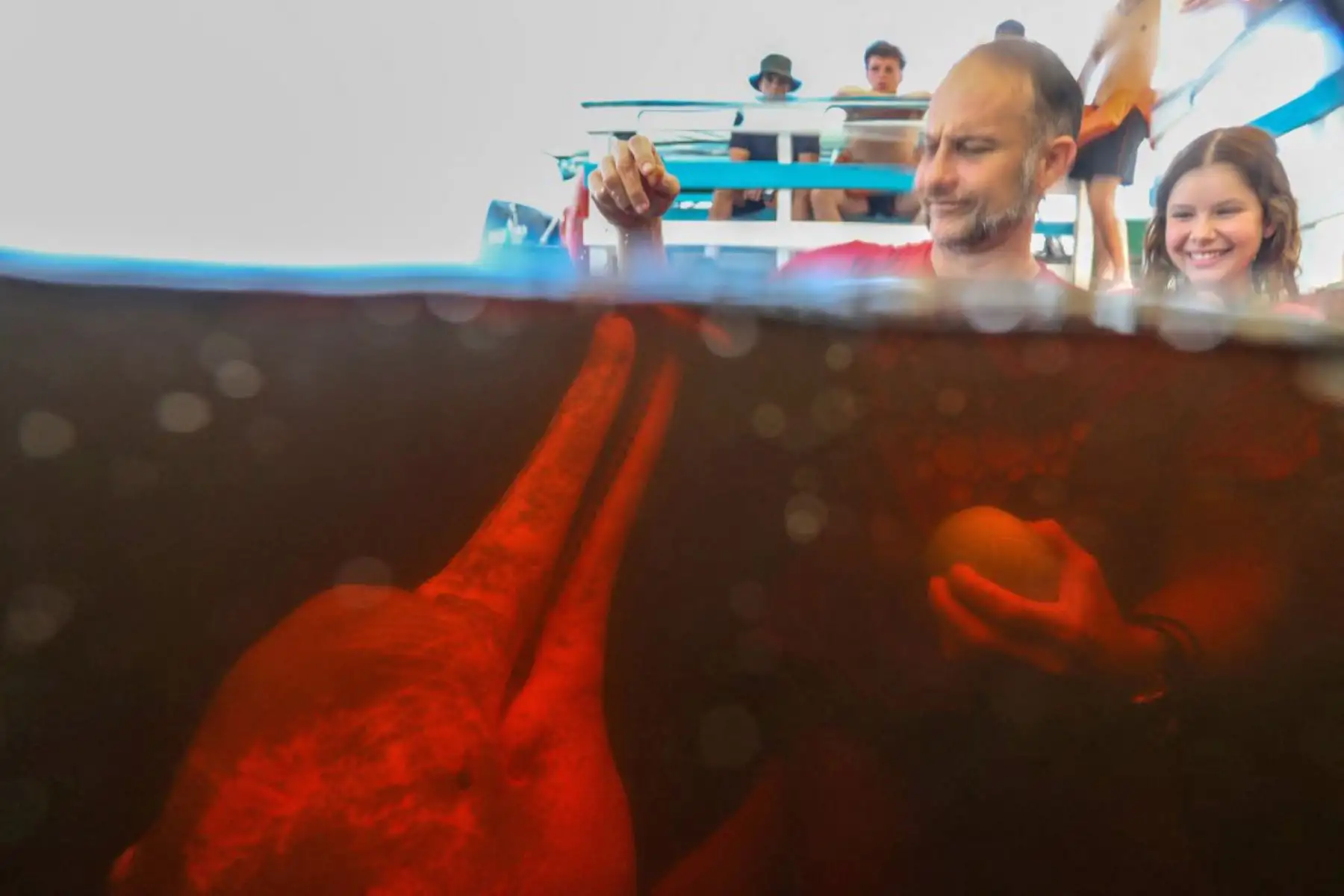 El fisioterapeuta Igor Simoes Andrade interactúa con un delfín rojo en el río Negro en Iranduba, estado de Amazonas, Brasil. El fisioterapeuta Igor Simoes Andrade lanzó el programa 