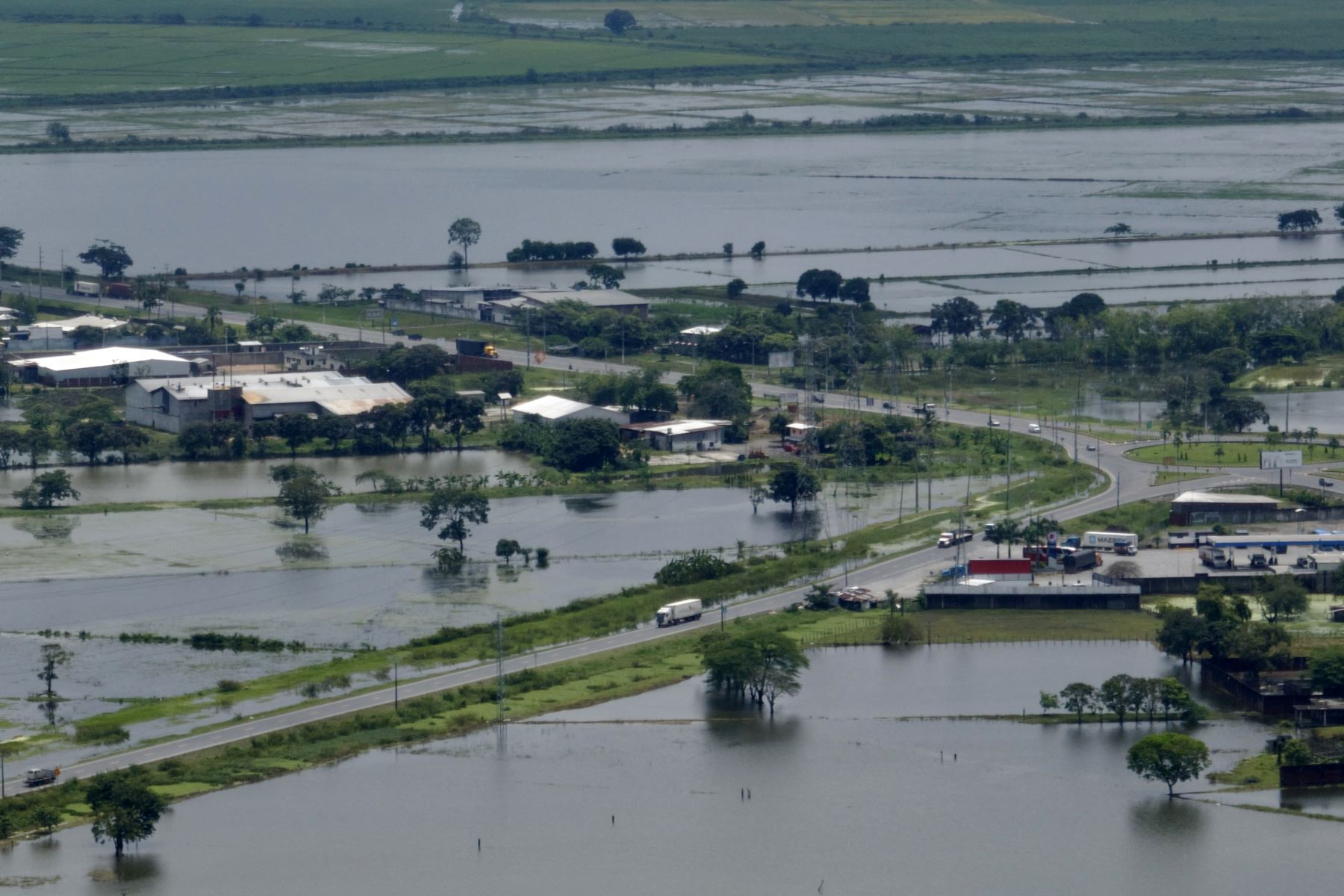 Vista aérea de los cultivos de arroz afectados por las inundaciones en Yaguachi, Provincia del Guayas, Ecuador. AFP