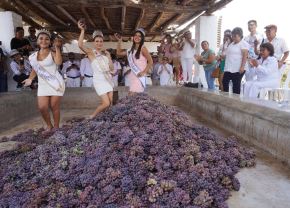 Así celebrarán las provincias iqueñas la fiesta de la Vendimia. Una de las actividades centrales será la tradicional pisa de la uva. Foto: Genry Bautista