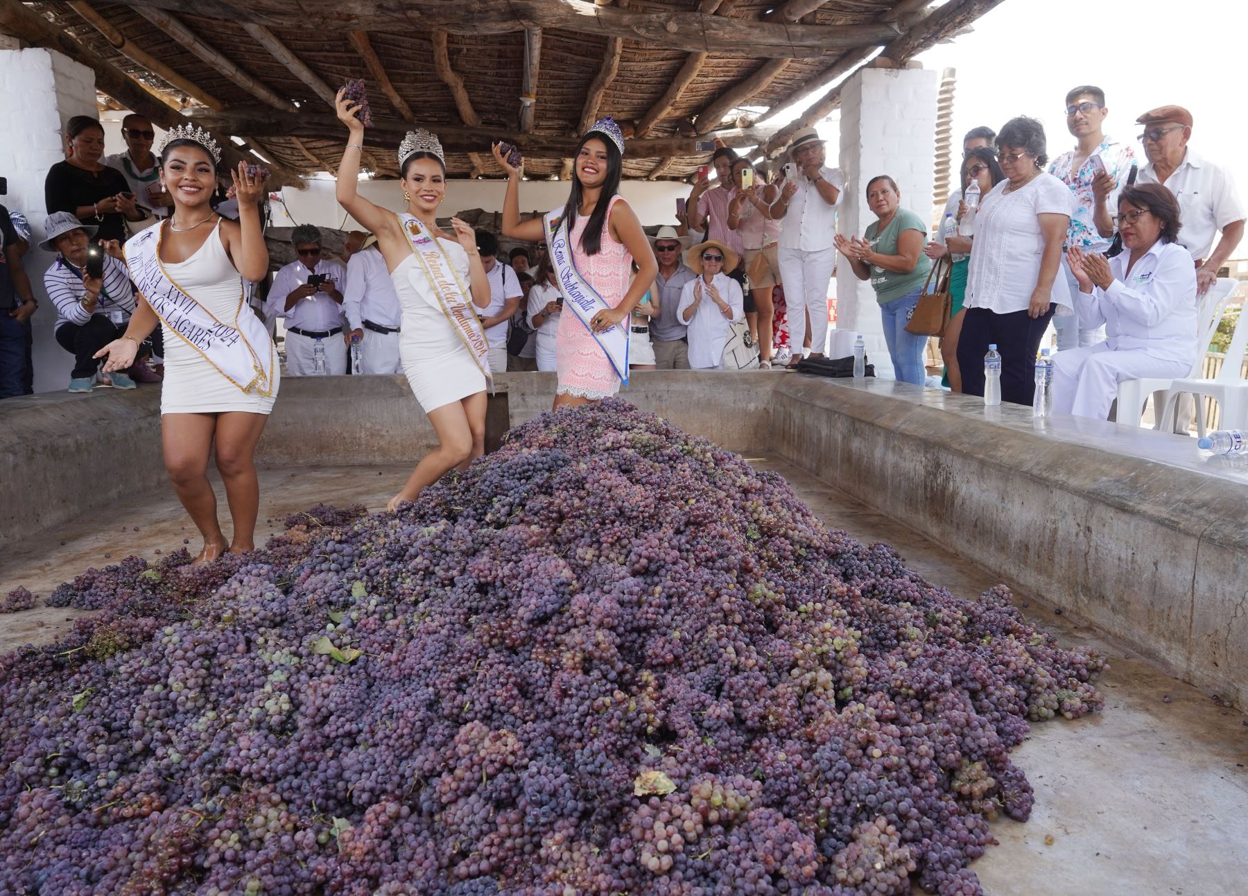 Así celebrarán las provincias iqueñas la fiesta de la Vendimia. Una de las actividades centrales será la tradicional pisa de la uva. Foto: Genry Bautista