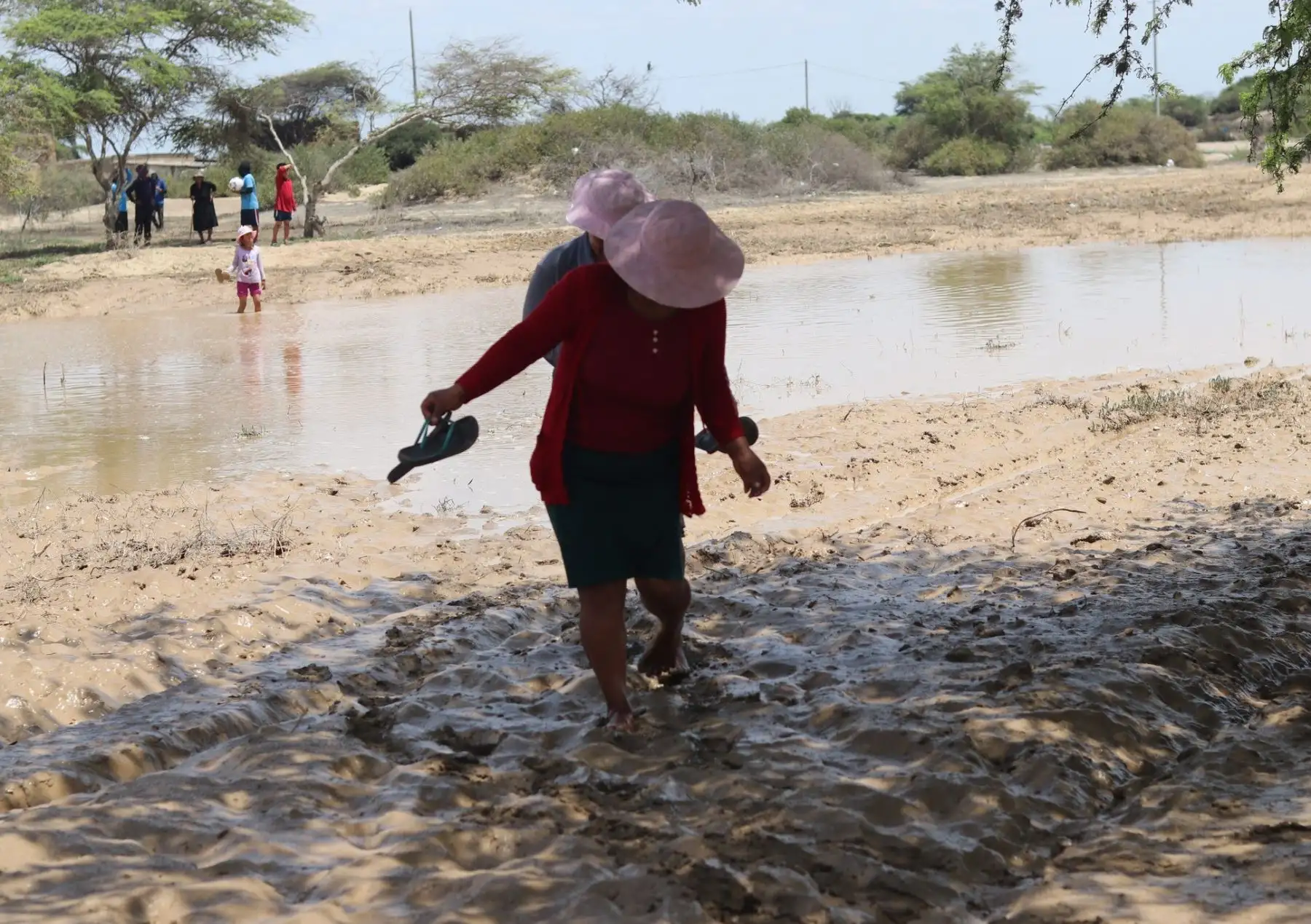 Al menos unas 50 familias afectadas dejó el desborde del río La Leche en el distrito de Mórrope, región Lambayeque. ANDINA/Difusión