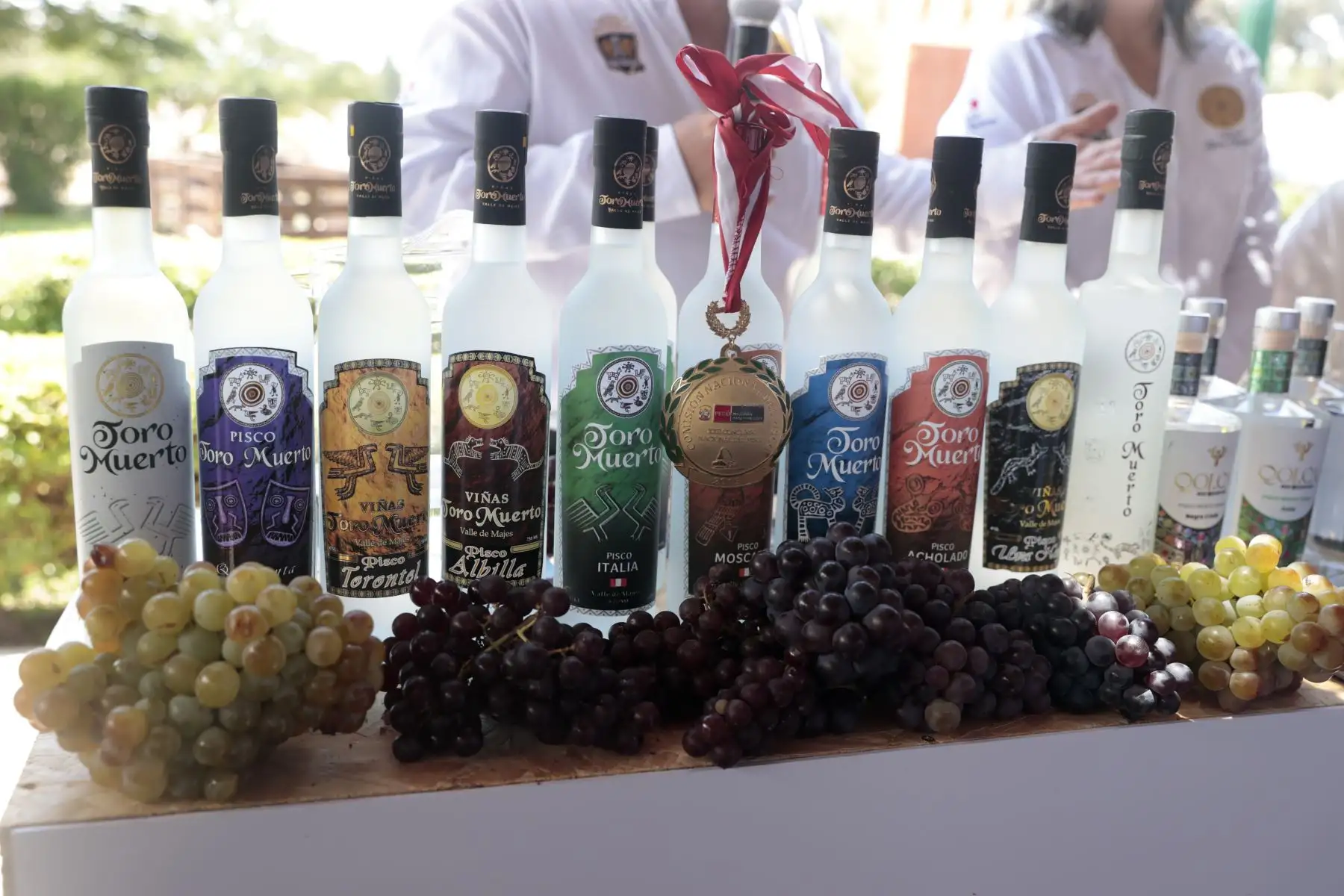 El Mincetur presenta una nueva experiencia de las Rutas del Pisco en Ica y otorga distintivos a las bodegas pisqueras que forman parte de este recorrido en la región. Foto: ANDINA/Vidal Tarqui