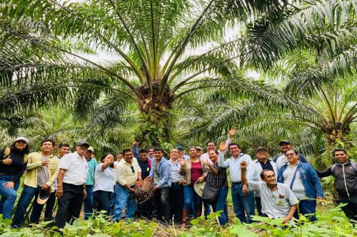 Pucallpa: Universidad Intercultural de la Amazonía realizó pasantía en empresa de palma aceitera