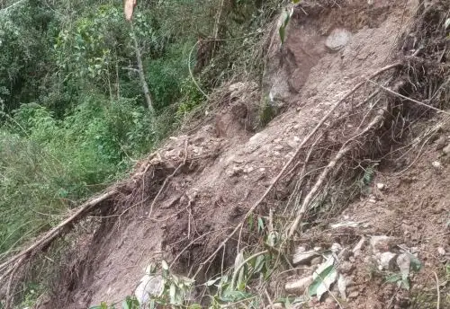 El jefe del Parque Arqueológico de Machu Picchu, Nino Del Solar, informó de deslizamientos de tierra y árboles en la ruta del Camino Inca a Machu Picchu a consecuencia de las lluvias intensas.