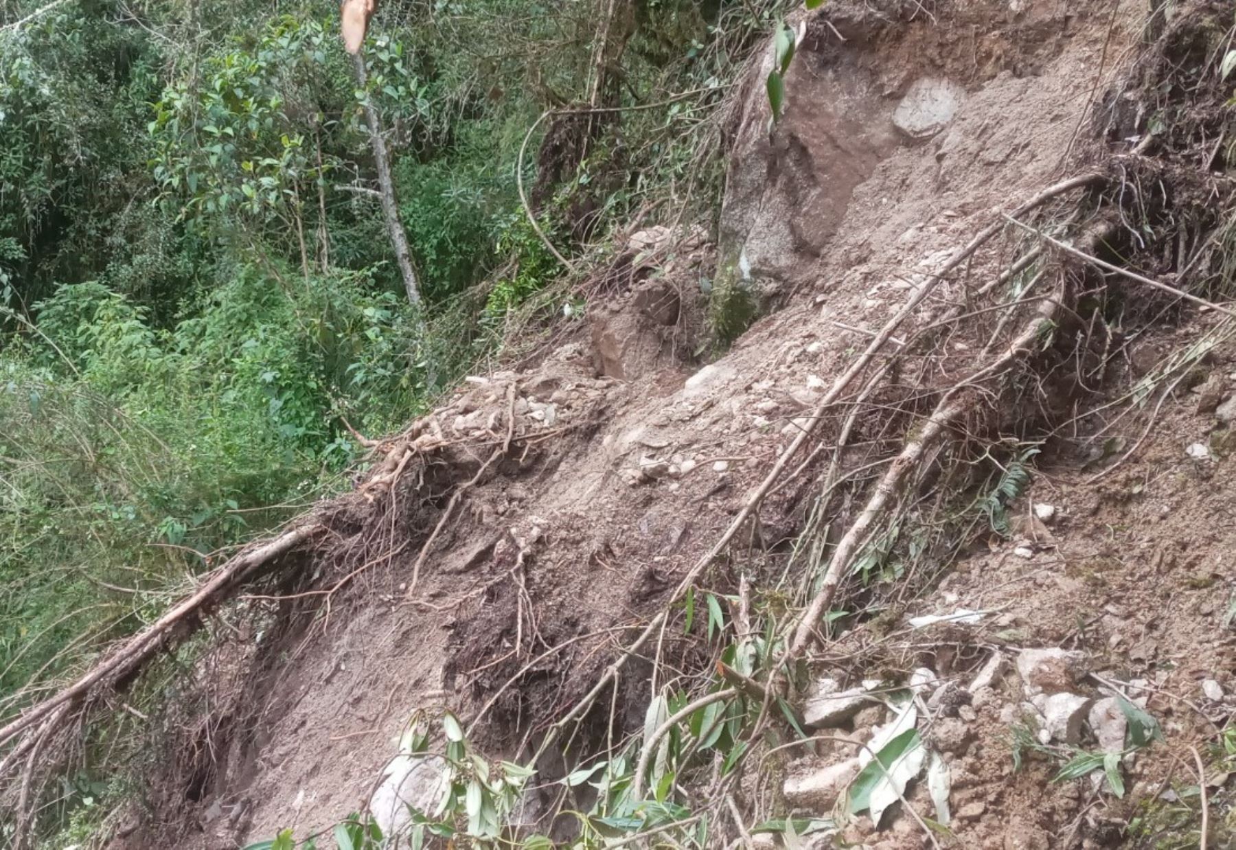 El jefe del Parque Arqueológico de Machu Picchu, Nino Del Solar, informó de deslizamientos de tierra y árboles en la ruta del Camino Inca a Machu Picchu a consecuencia de las lluvias intensas.