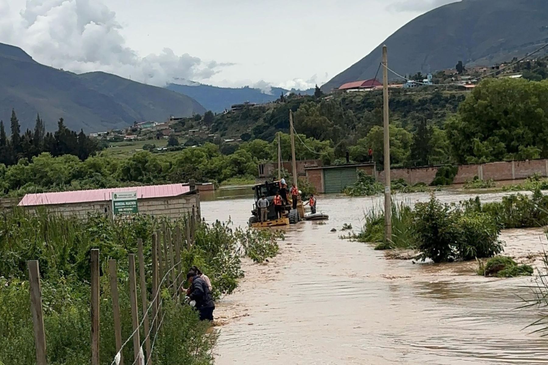 Colpa Baja es una de las localidades más afectadas por el desborde del Huallaga. ANDINA/Difusión