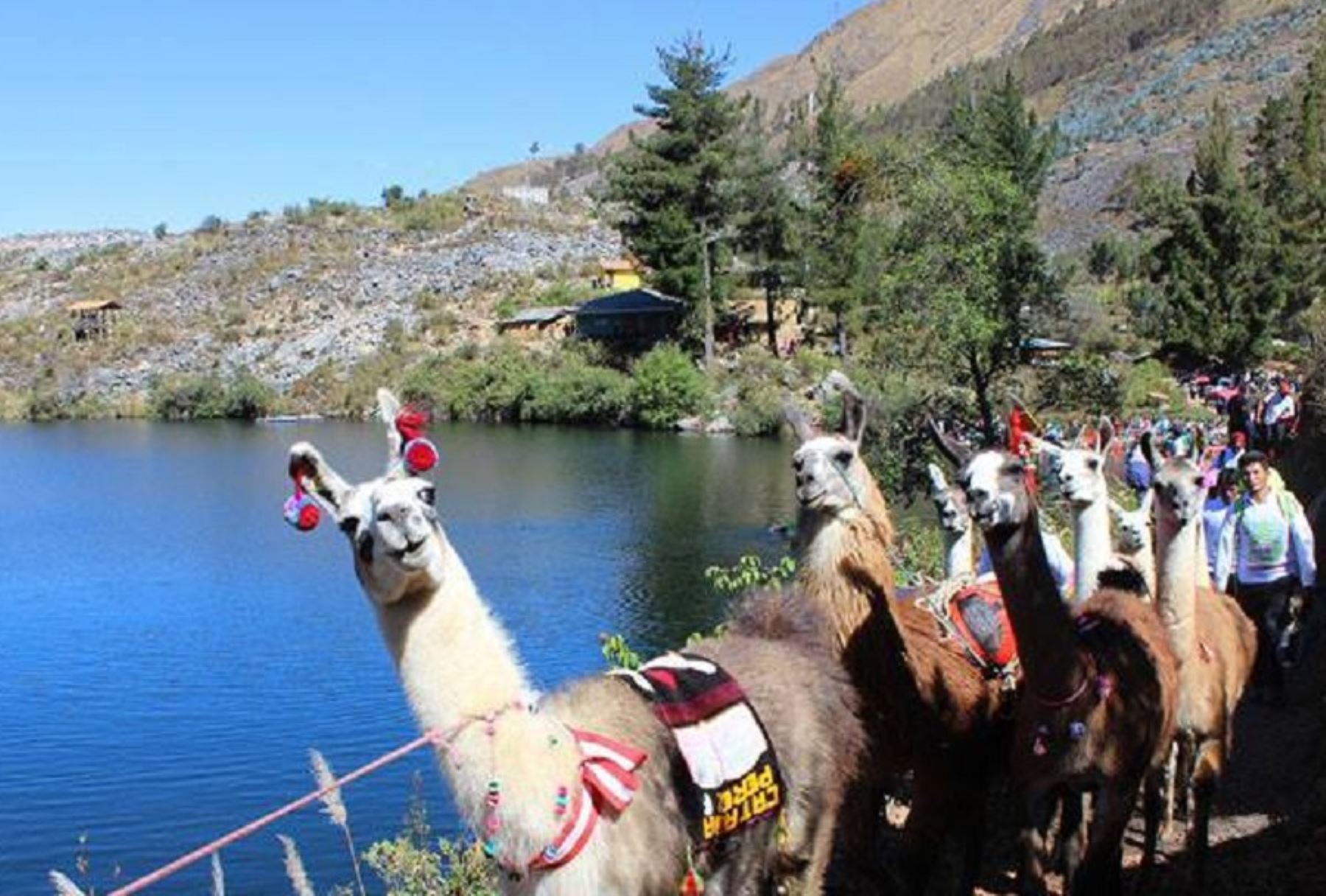 Reserva de Biosfera Huascarán