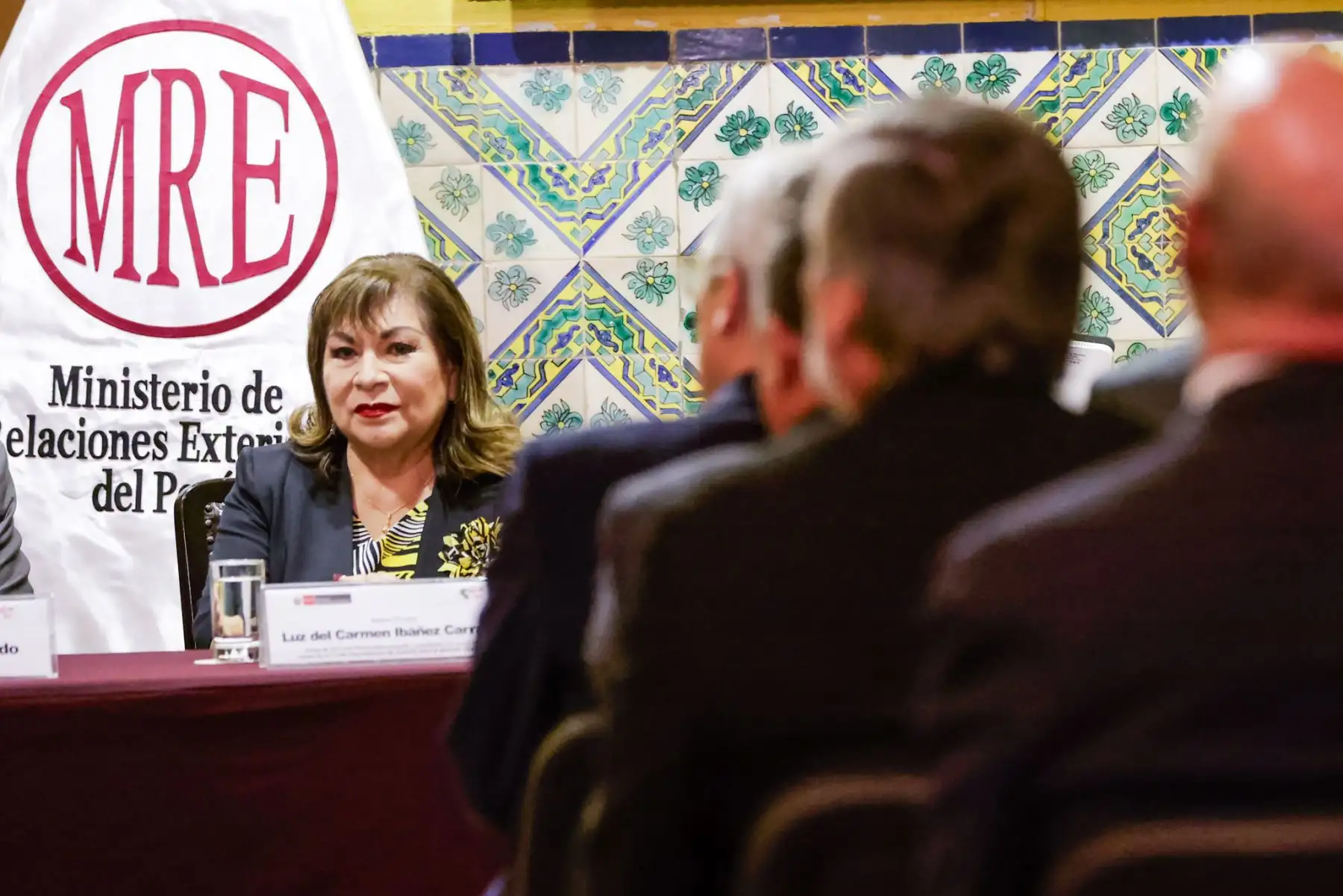 La candidatura de la Dra. Luz Ibáñez Carranza representa un esfuerzo del Estado peruano por contribuir a la justicia global y fortalecer la presencia del país en los principales órganos judiciales de la comunidad internacional. Foto: ANDINA/Luis Iparraguirre