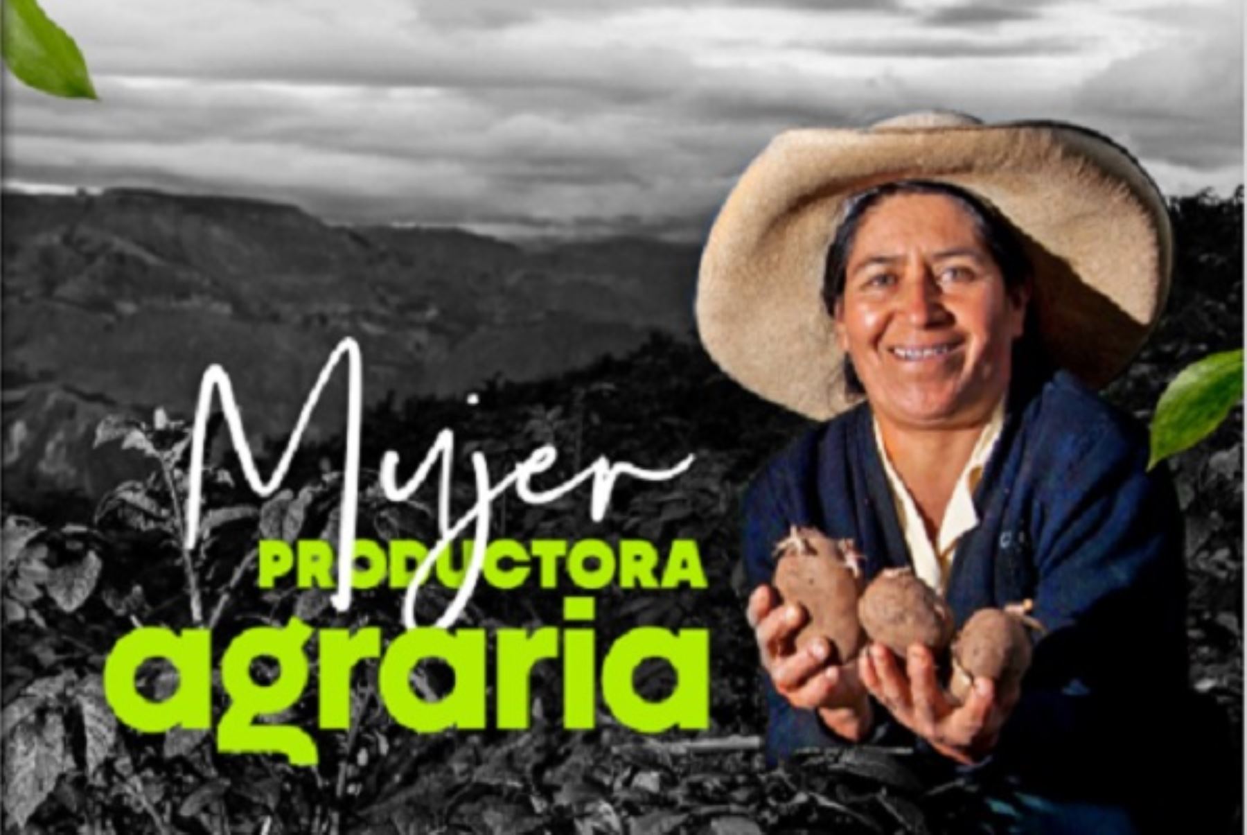 Catálogo virtual "Mujer Productora Agraria" presentado por el Midagri en alianza con el Banco de la Nación. Foto: Cortesía.