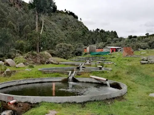 ANDINA/Difusión