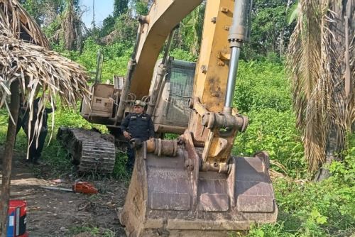 Incursión en los bosques de Huánuco fue liderada por la Fiscalía Especializada en Materia Ambiental (FEMA) de Ucayali