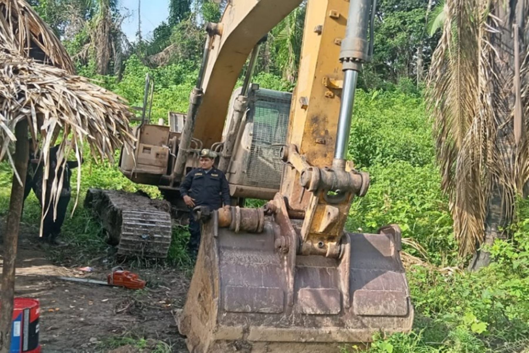 Incursión en los bosques de Huánuco fue liderada por la Fiscalía Especializada en Materia Ambiental (FEMA) de Ucayali