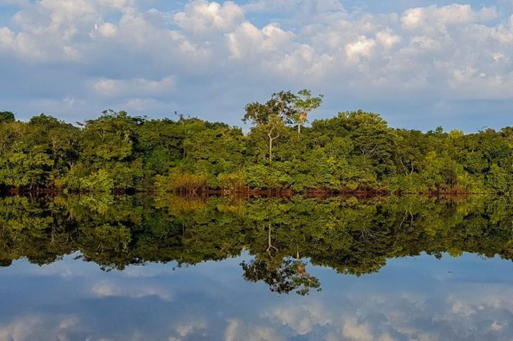 El asalto se registró en el puesto de vigilancia y control Agua Negra de la reserva Allpahuayo Mishana. Foto: Sernano