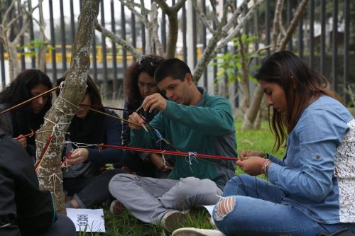 El público asistente al festival participará en diversas actividades educativas y de sensibilización. Foto: ANDINA/Difusión