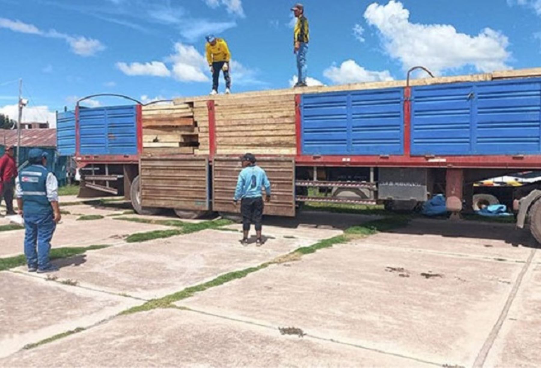 En una operación conjunta, el Serfor, la Fiscalía en Materia Ambiental y la Policía Nacional decomisaron en Puno cerca de 4,600 tablares de madera proveniente de Madre de Dios. ANDINA/Difusión