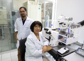 La Universidad de San Marcos revoluciona la investigación en alpacas y anunció la compra de un microscopio confocal de última generación que ayudará a mejorar la genética de esta especie y trabajará con los diversos centros alpaqueros regionales. ANDINA/Difusión