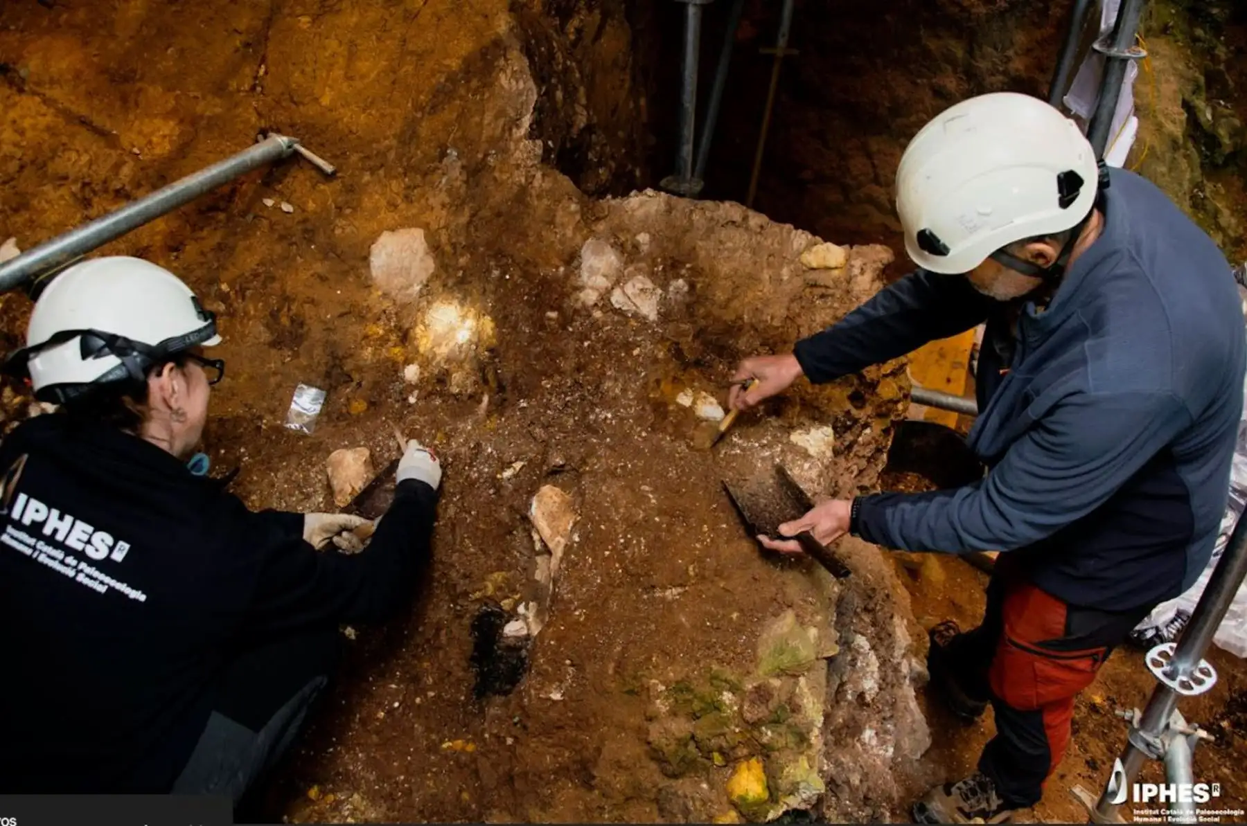 Los huesos faciales descubiertos en el yacimiento de Atapuerca (Burgos) de entre 1,4 y 1,1 millones de años, son los restos humanos más antiguos hallados en Europa occidental.
Foto: EFE
