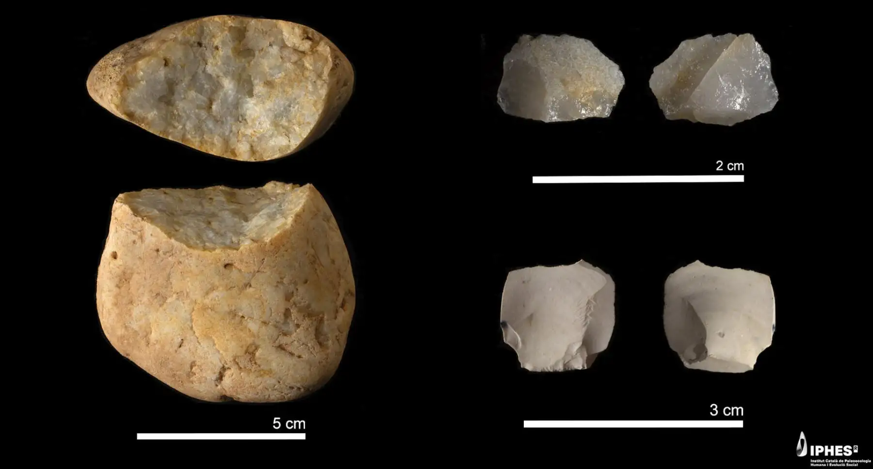 Los científicos creen que este hallazgo indica que en el Pleistoceno temprano, en Europa occidental hubo al menos dos especies: Homo. aff. erectus, que llegó primero al continente, y H. antecessor, hasta hoy la especie humana más antigua de Europa occidental y central. EFE