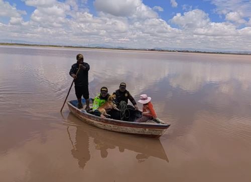 Policías rescatan a perro que se encontraba atrapado durante tres días en un islote en medio de una zona inundada por el desborde del río Coata en Puno. ANDINA/Difusión