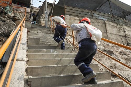 Los trabajos se realizan en zonas de difícil acceso, muy empinadas como el cerro El Zorro en Collique, Lomas de San Felipe en el distrito de Comas; AA.HH Alameda y El Mirador Palmeras en Carabayllo, en el AA.HH Nicolás de Piérola y Cerrito Milagrosos en Lurigancho.