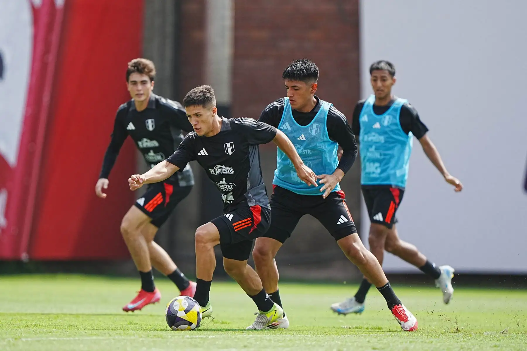 Entrenamiento de la selección peruana con mira a los próximos partidos de las Eliminatorias a la Copa Mundial de la FIFA 2026.  Foto: ANDINA/FPF