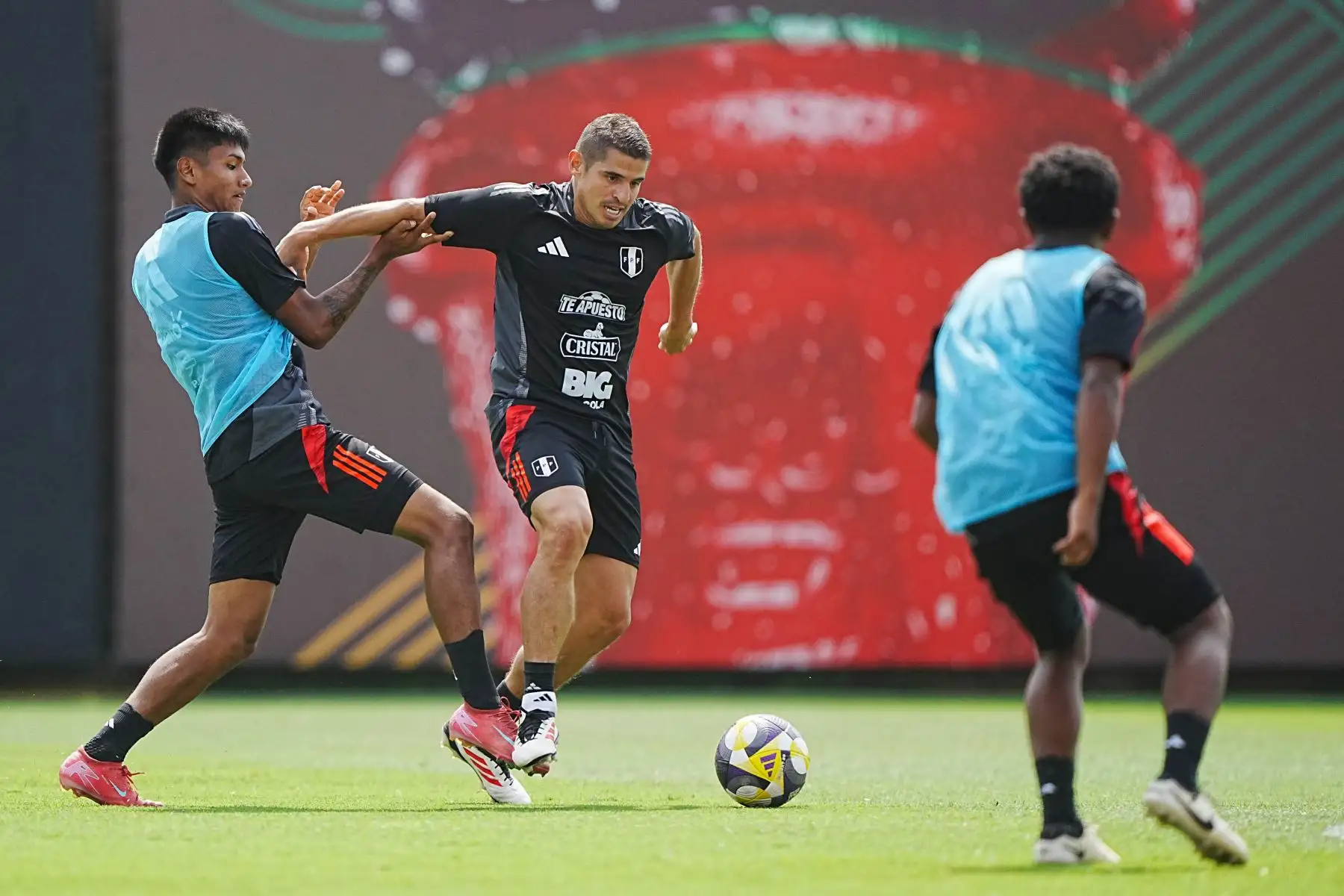 Entrenamiento de la selección peruana con mira a los próximos partidos de las Eliminatorias a la Copa Mundial de la FIFA 2026.  Foto: ANDINA/FPF