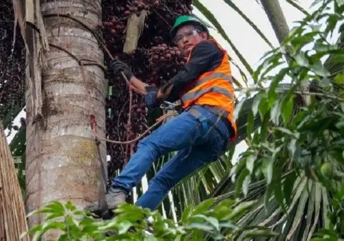 La participación de las comunidades nativas es clave para la conservación de los bosques y humedales amazónicos. ANDINA/Difusión