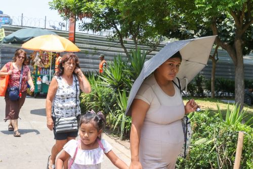 Esta semana el calor registrará altas temperaturas en Lima, pronostica Senamhi. Foto: ANDINA/Juan Carlos Guzmán